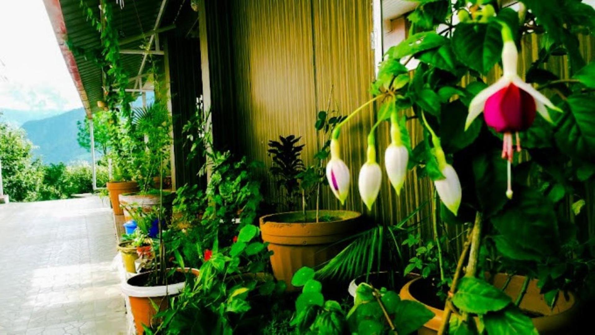 The Village Retreat Resort , Guptkashi Gupta Kashi ภายนอก รูปภาพ