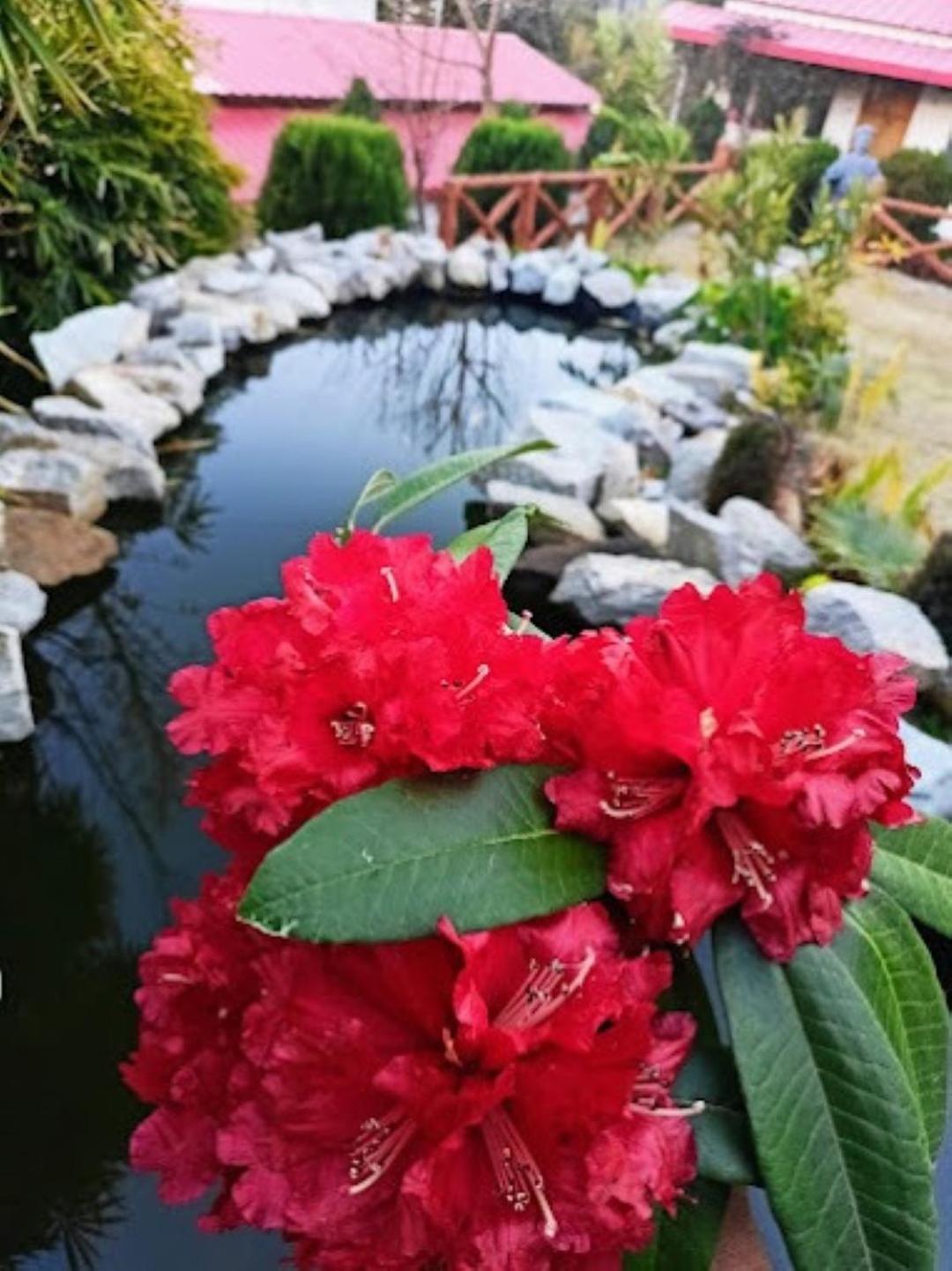 The Village Retreat Resort , Guptkashi Gupta Kashi ภายนอก รูปภาพ